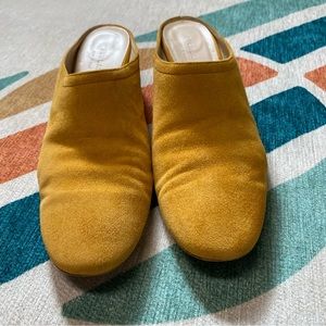 Everlane- “The Day Heel” Mule in Mustard Suede - Size: US 11